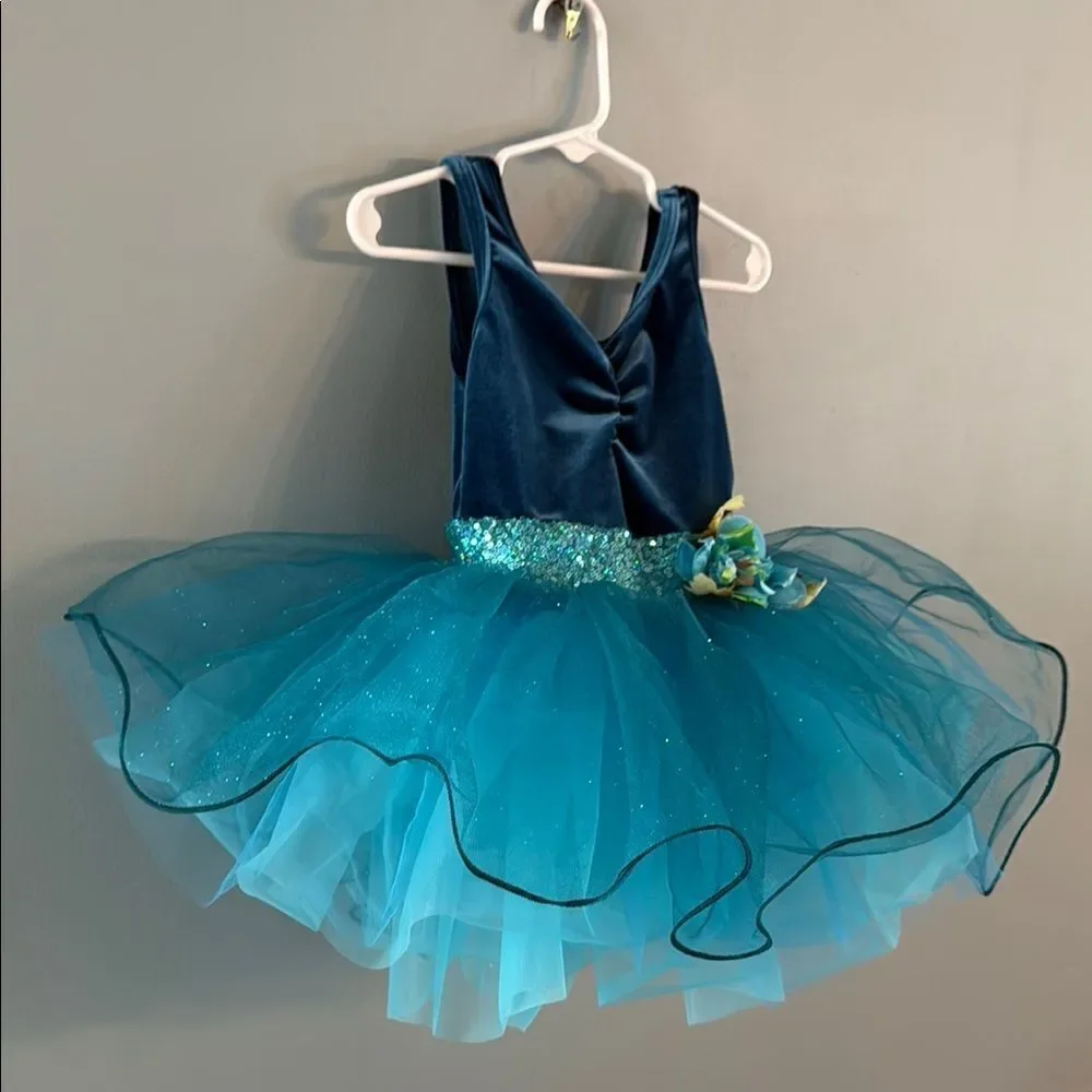 Girl’s Small blue Ballet Tutu Dress Dance Fairy Princess dress ~ Dress Up